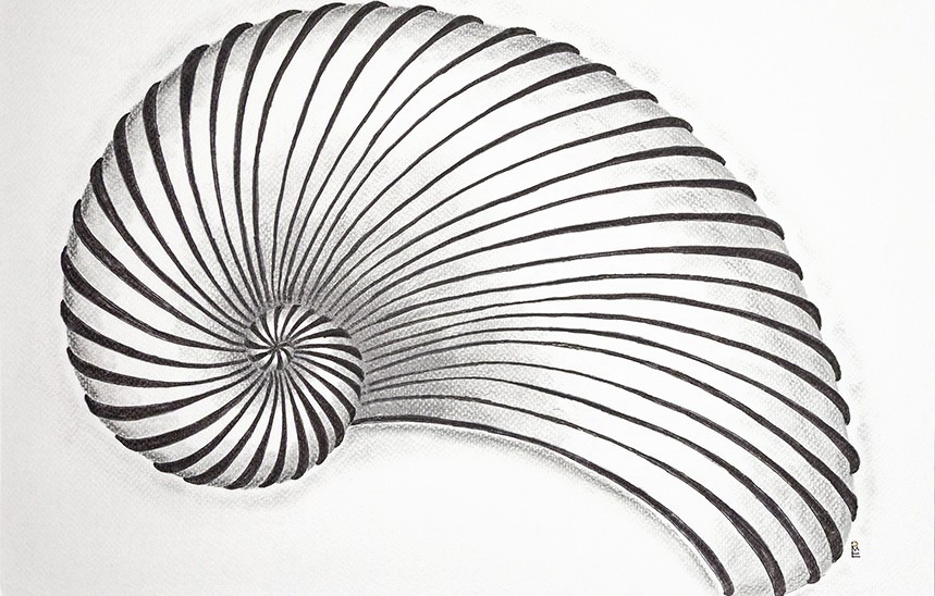 Zentangle Schnecke